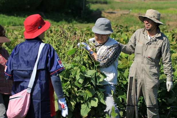 đậu đen có nhiều chất xơ